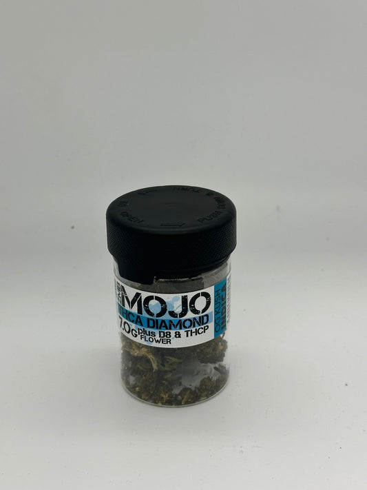 MOJO ZILLA HHC 0.5G 10 CT BLUE DREAM