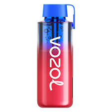 VOZOL NEON 10000 10ML 5CT FROZEN STRAWBERRY KIWI