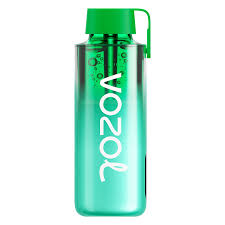 VOZOL NEON 10000 10ML 5CT MIAMI MINT