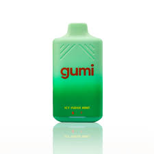 GUMI BAR 5% 10PK ICY FUDGE MINT