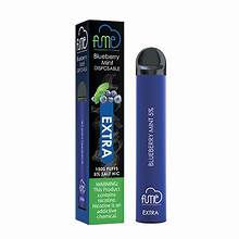 FUME EXTRA 1500 BLUBERRY MINT 10CT